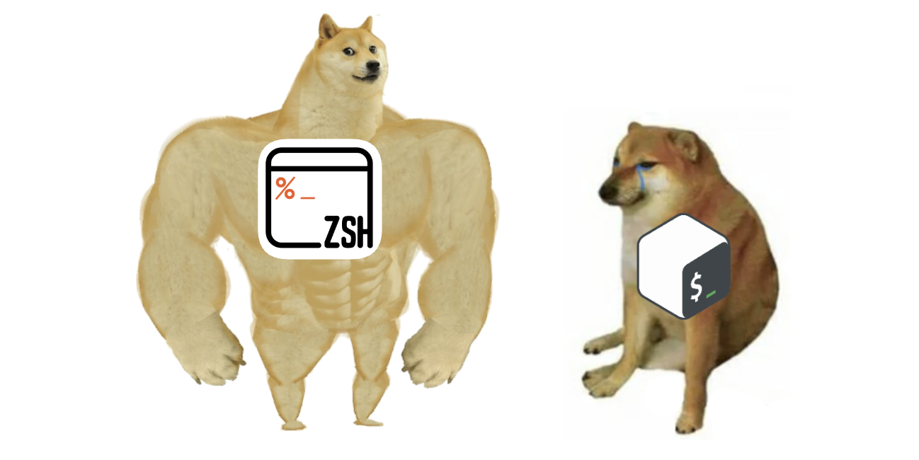 Bash vs Zsh Doge meme
